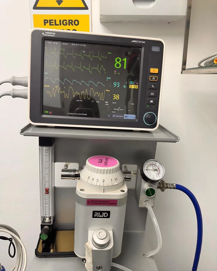 Monitor de signos vitales y equipo de anestesia inhalatoria